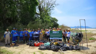 Voluntários participaram do mutirão de limpeza na Praia e Ruínas do Sahy