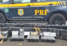 Carga tinha cerca de 180 kg de maconha e pacotes de droga sintética tipo ice