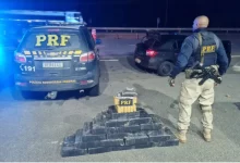 Agente da PRF observa os tabletes de maconha e pacotes de haxixe apreendidos