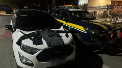 Material apreendido pela PRF é exibido sobre o capô de veículo roubado