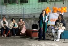 "Quando o Gato Vira Gente" é o mais novo livro da autora Doroti Cercato (FOTO: RICHARD CARRASCO).