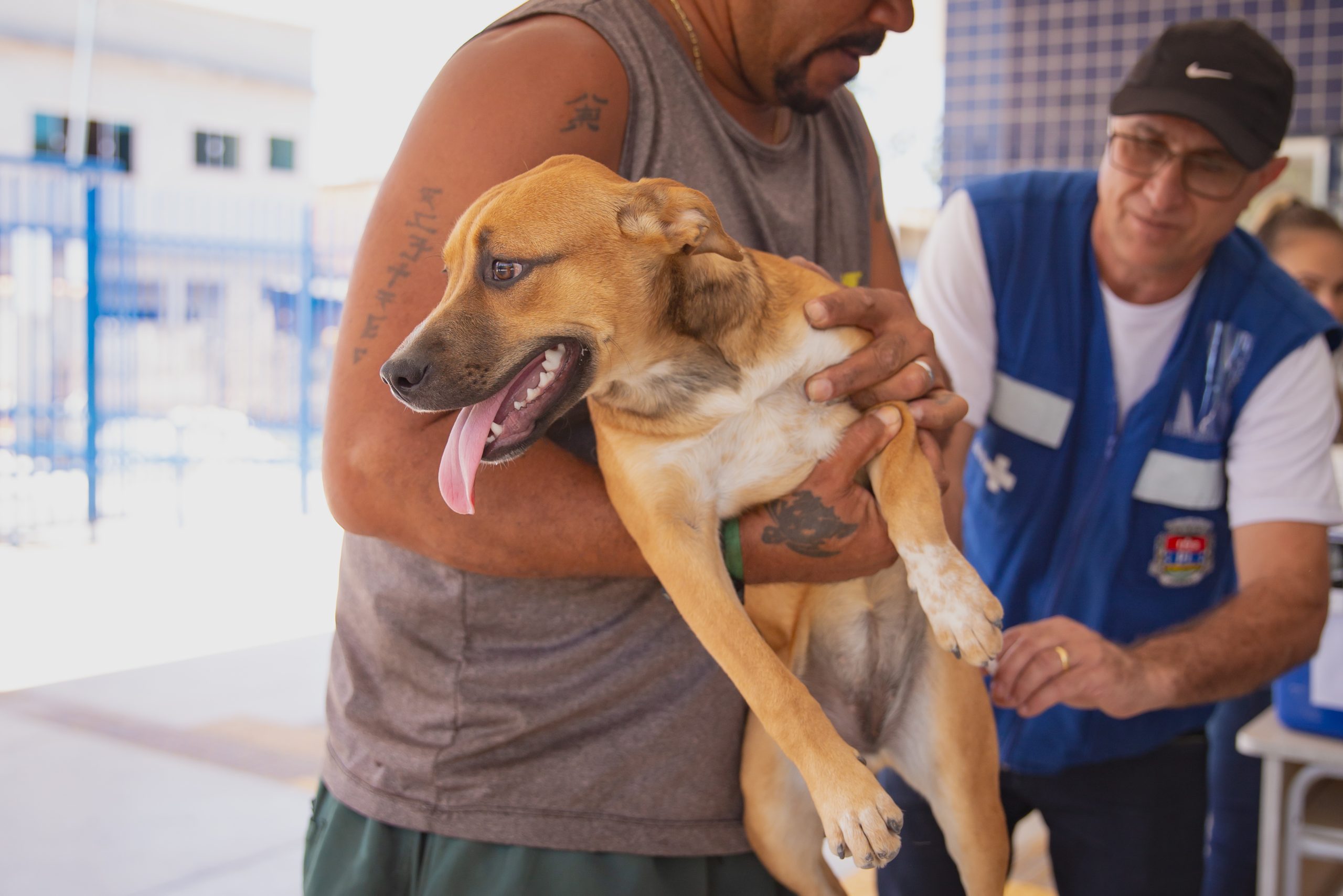 Castramóvel oferecerá castração gratuita de cães e gatos nos dias 17, 18, 19, 24 e 25.