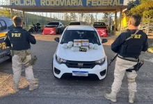 Policiais rodoviários federais ao lado da viatura exibem os 21 quilos de drogas apreendidos