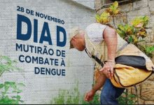 Agente de saúde realiza inspeção em área externa durante o mutirão do Dia D de combate à dengue