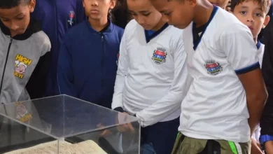 145 anos da Biblioteca Municipal Machado de Assim