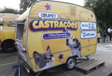 RJ Pet retorna às atividades após entrave jurídico.