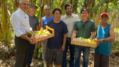 Cooperação Circular: João Leal, Júlio Lopes e Francisco Dantas ao lado de ÁlvaroHonda eoutros agricultores familiares com os produtos da agricultura de Mazomba (FOTO: RICHARD CARRASCO)