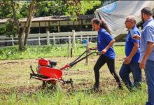 Agricultora participa de capacitação em mecanização rural no Horto Municipal