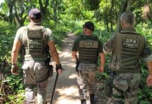 Agentes do GPA realizam patrulhamento em área de mata