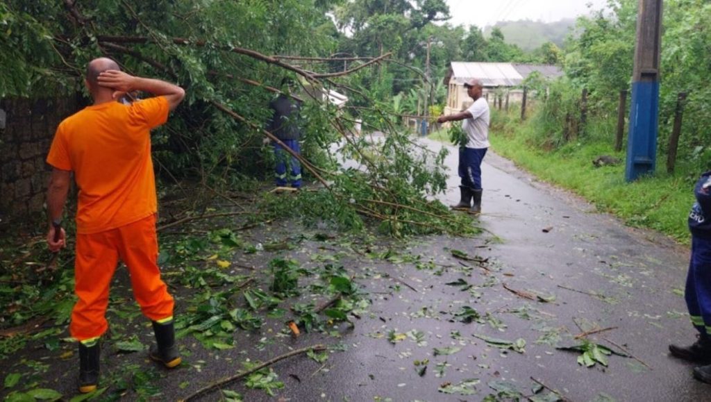 Servidores removem galhos e árvores que caíram sobre a via após o temporal