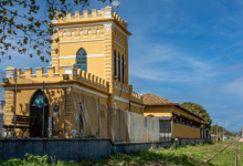 21 Dias de Combate ao Racismo ocorrerá ao longo do mês de março (FOTO: DIVULGAÇÃO/PMI).