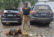 Agente da PRF e cão farejador do GOC-RJ