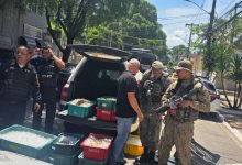 Agentes do Proeis e da Polícia Ambiental fiscalizam carga de camarão-cinza