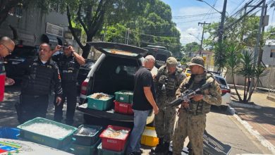 Agentes do Proeis e da Polícia Ambiental fiscalizam carga de camarão-cinza