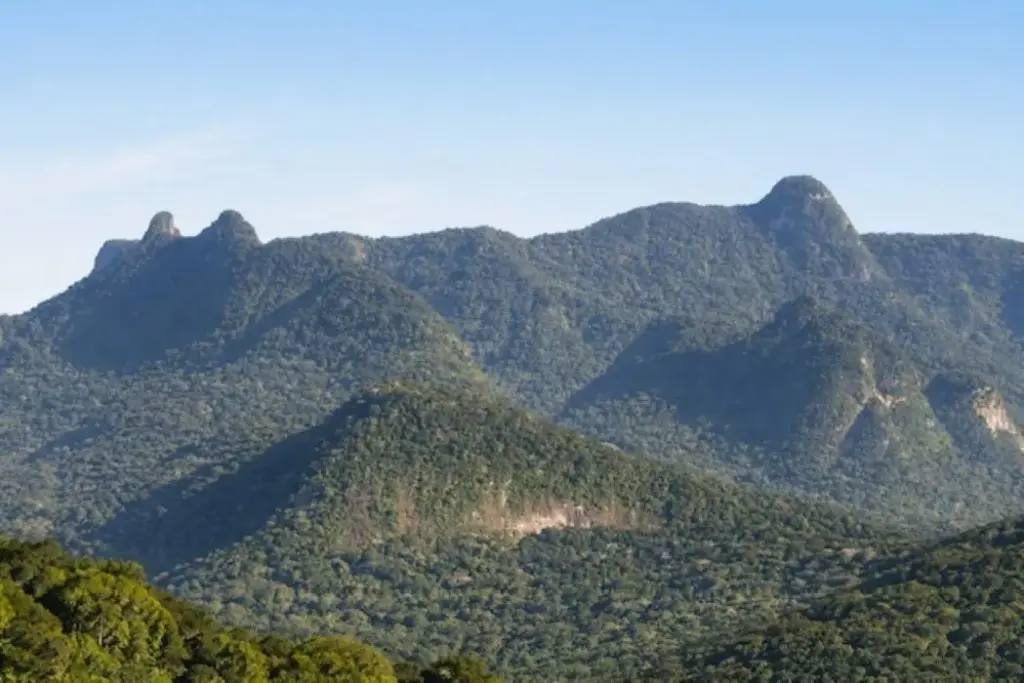 Vista das montanhas cobertas pela Mata Atlântica no PEC