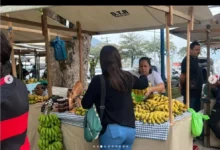 A participação desses trabalhadores será um dos destaques da FARTAGRO