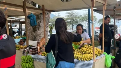 A participação desses trabalhadores será um dos destaques da FARTAGRO