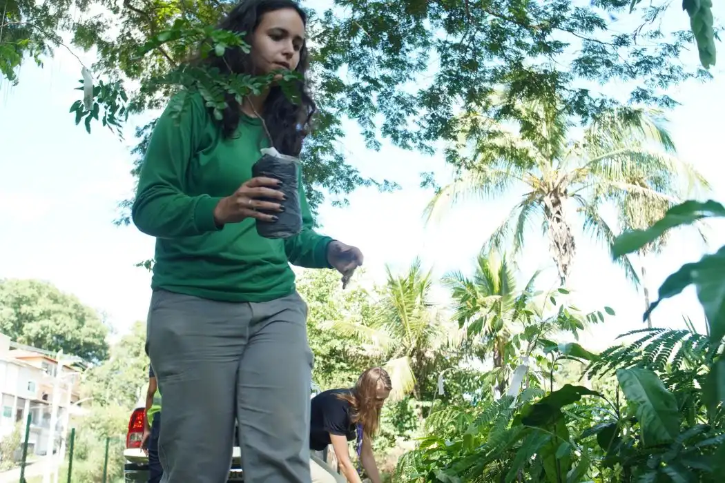 mulher com mudas da mata atlântica