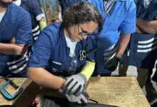 Pessoa utilizando equipamentos de proteção individual realiza atividade prática em bancada durante treinamento técnico, acompanhada por outros participantes em ambiente de capacitação profissional.