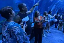 Integrantes da Terceira Idade de Praia Pequena registram e apreciam as belezas do AquaRio