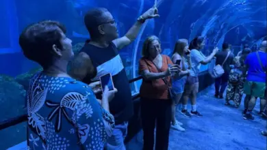 Integrantes da Terceira Idade de Praia Pequena registram e apreciam as belezas do AquaRio