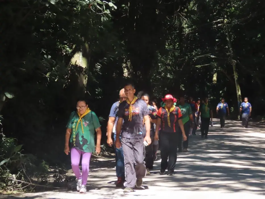 Desbravadores percorrem trilha no Parque Cunhambebe