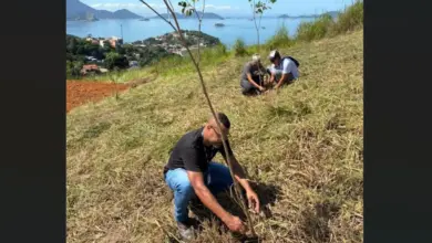 Plantio de mudas nativas marca nova etapa de reflorestamento no Parque Natural