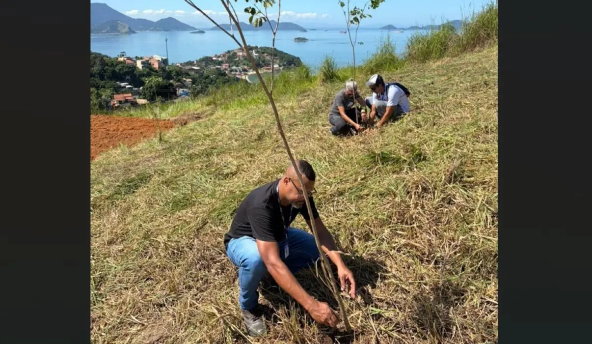 Plantio de mudas nativas marca nova etapa de reflorestamento no Parque Natural