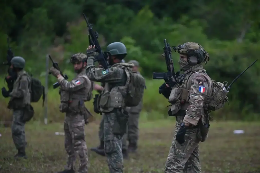 Militares brasileiros e franceses realizam treinamento em área de mata