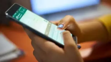 Acesso rápido e prático via WhatsApp direto pelo celular