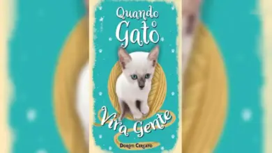 Capa do livro “Quando o Gato Vira Gente”, de Doroti Cercato, com fundo em tom turquesa e ilustração central de um gato branco de olhos azuis, posicionado dentro de uma moldura oval dourada. O título aparece em destaque na parte superior e inferior da imagem, em tipografia estilizada.