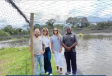 Subsecretária Ana Paula Caldas e técnicos da Fiperj