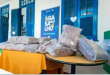 Cobertores doados na campanha 2026 na sede do instituto