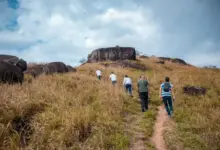 Trilha, natureza e aventura: Parque Natural Municipal da Pedra do Urubu