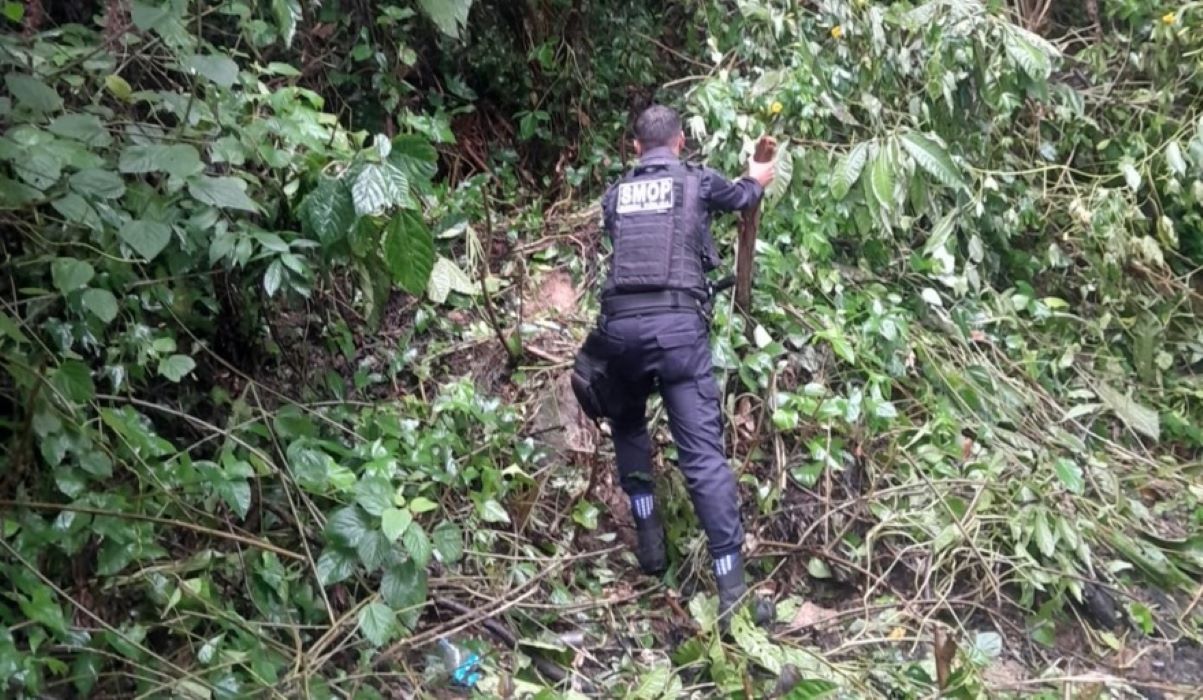 Agente da Secretaria de Ordem Pública removendo estaca