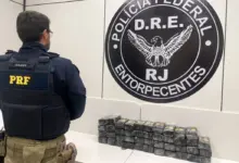Agente da PRF observa droga apreendida