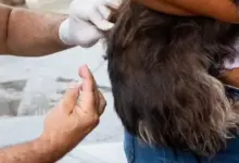 Vacinação Antirrábica