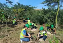 Colaboradores da Regenera Rio, representantes da Comlurb e estudantes da UFRJ participaram do plantio de mudas nativas no cinturão verde