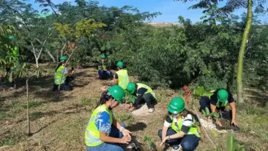 Colaboradores da Regenera Rio, representantes da Comlurb e estudantes da UFRJ participaram do plantio de mudas nativas no cinturão verde