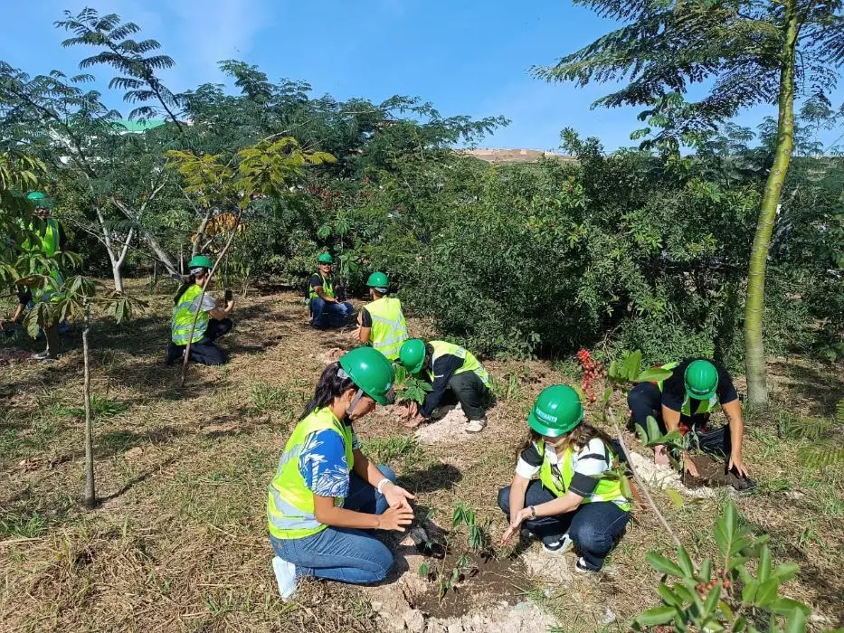 Colaboradores da Regenera Rio, representantes da Comlurb e estudantes da UFRJ participaram do plantio de mudas nativas no cinturão verde