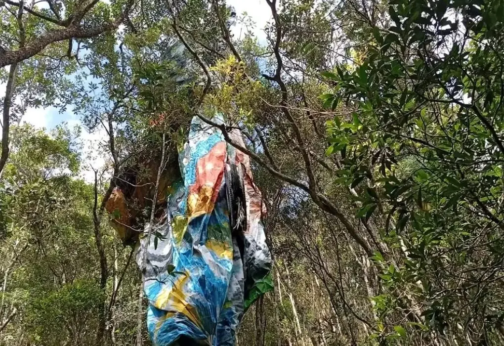 Balões presos à vegetação