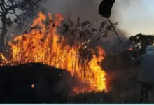 Brigadista atua no combate a incêndio florestal