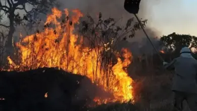 Brigadista atua no combate a incêndio florestal