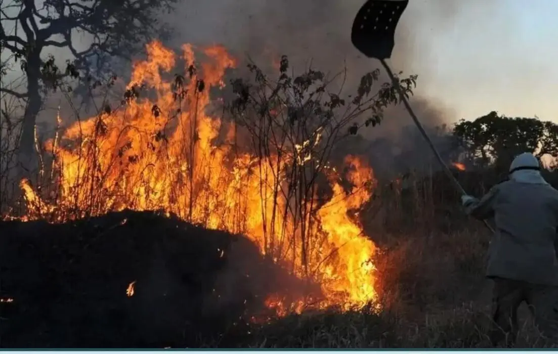 Brigadista atua no combate a incêndio florestal