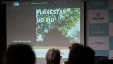Foto do público assistindo um vídeo institucional do programa do Inea
