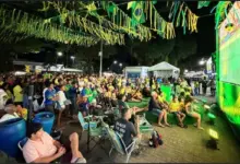 Torcedores assistindo a partida no telão