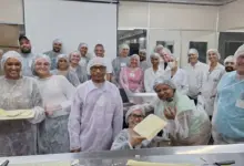 Produtores de palmito pupunha do Vale Mambucaba participam de capacitação