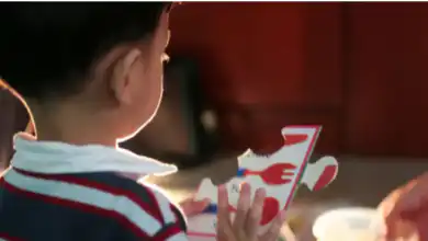 Vereadores do Rio aprovam por unanimidade projeto que amplia direitos das pessoas com Transtorno do Espectro Autista (TEA, ou pessoas com autismo); proposta segue para sanção do prefeito (FOTOS: REPRODUÇÃO).