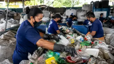 Catadores de materiais recicláveis