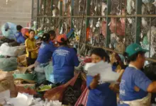 Catadores de recicláveis